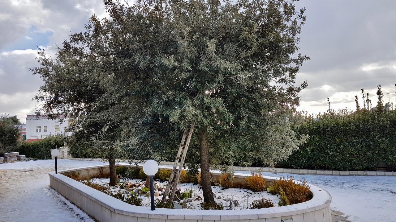 Villa Wonder Alberobello Kültér fotó